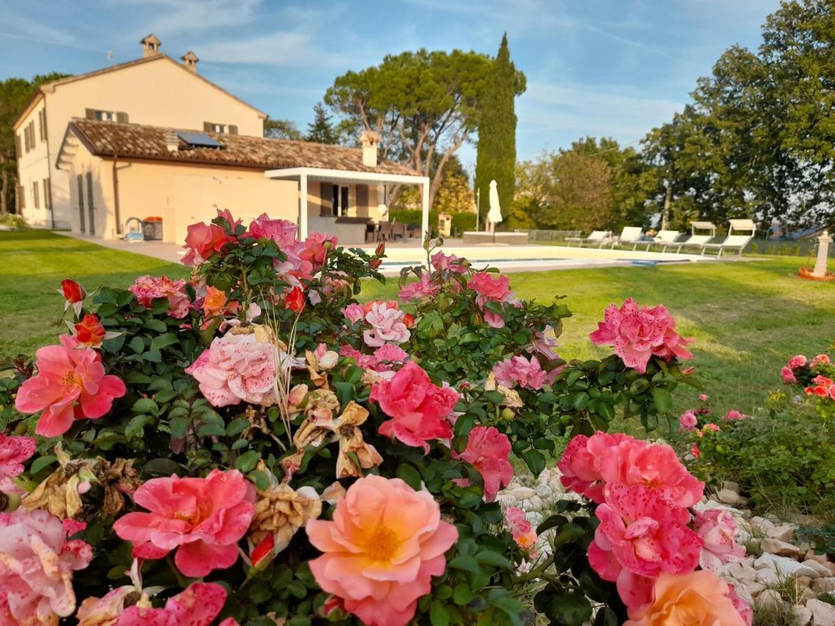 Relais Villa Sofia Calcinelli Extérieur photo